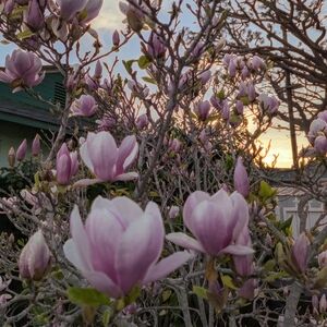 Meet your Posher, Sandi